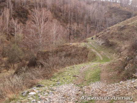 pervomai 26