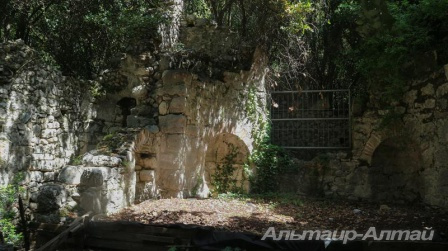 likiya 51