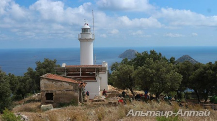likiya 31