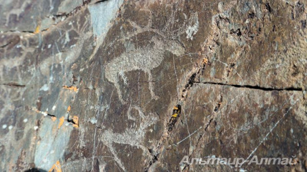 ukok21 9
