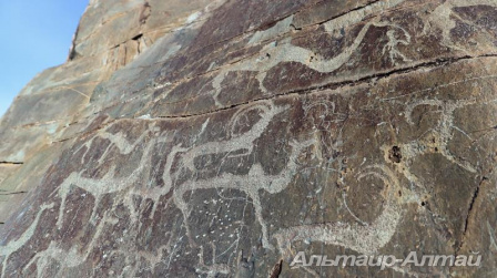 ukok21 10