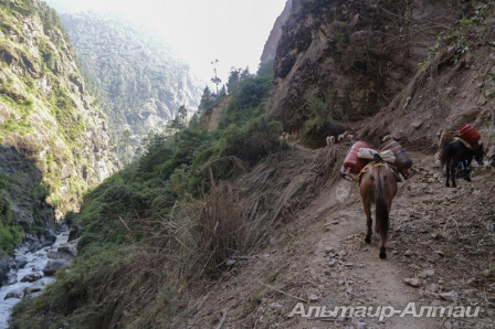 nepal 20