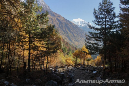 nepal 12