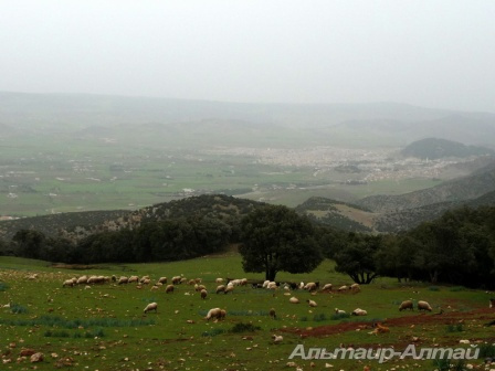   Azrou