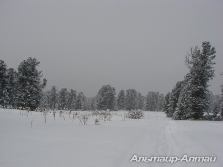 karakol 3