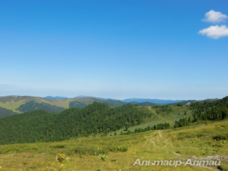 altyn 2