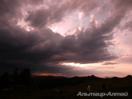 altyn 6