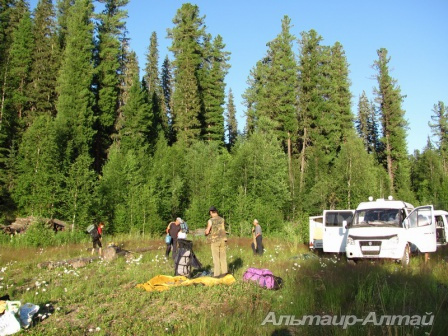altyn 20