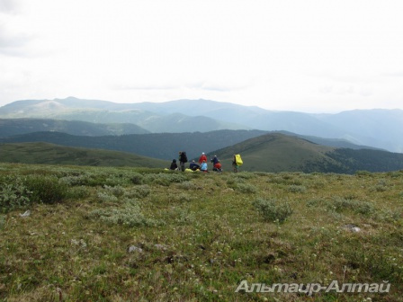 altyn 28