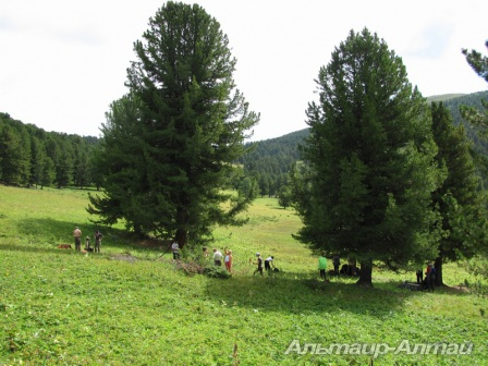 altyn 4
