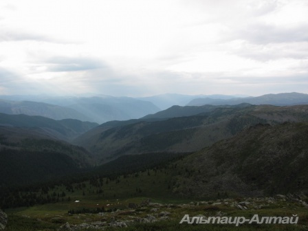 altyn 9
