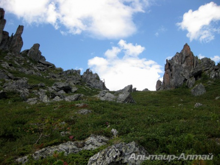 altyn 29