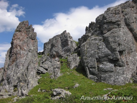 altyn 30