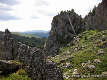 altyn 31