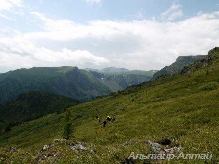 altyn 19