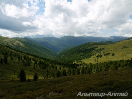 altyn 20