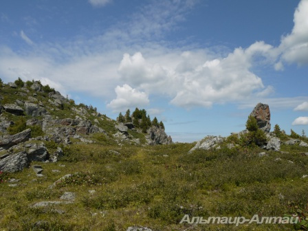 altyn 22