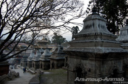 nepal 5