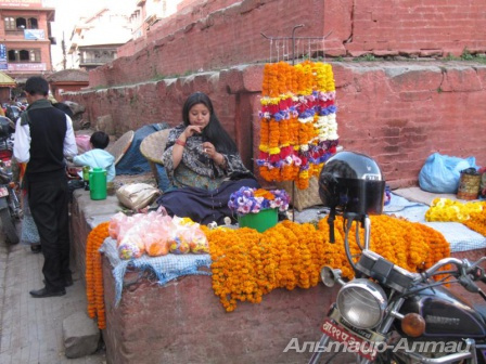 nepal 26