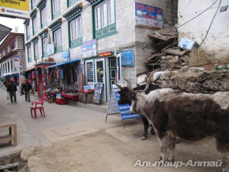 nepal 30