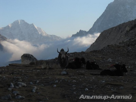 nepal 28