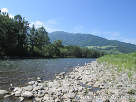 kumir 28