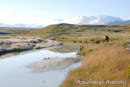 ukok 2012 49