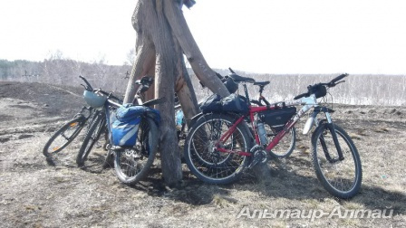 velo13 10