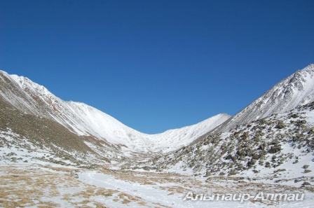 shumak 1