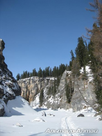 sayan2014 4