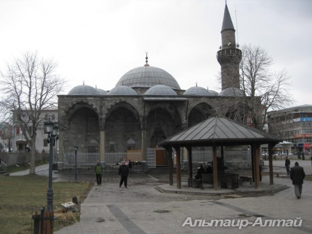 turgr 40