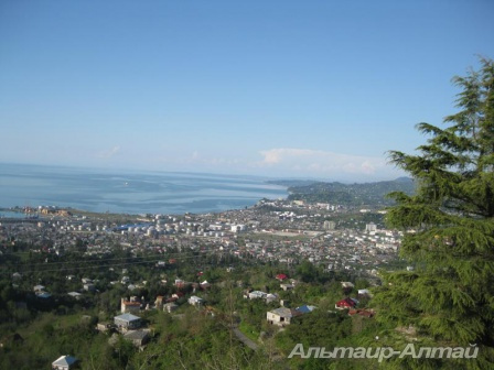turgr 29