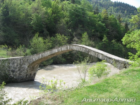 turgr 35