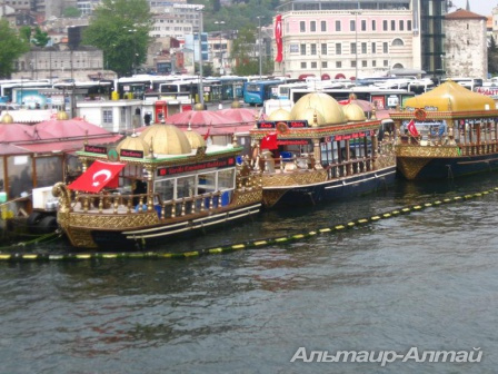 turgr 29