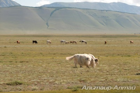 avtotur 7
