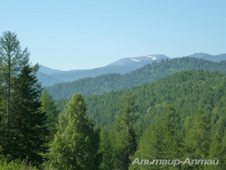 altai2013 3