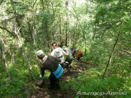 altai2013 6