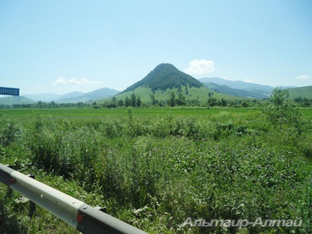 altai2013 9