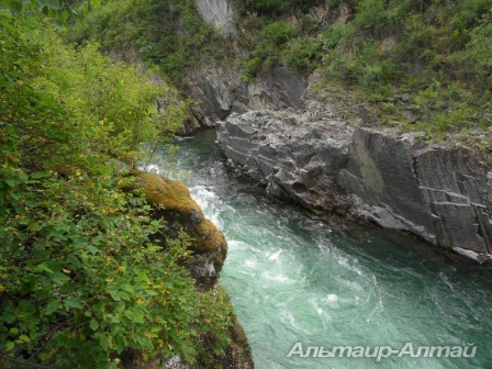 altai2013 12