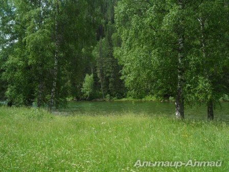 altai2013 15