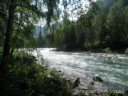 altai2013 30