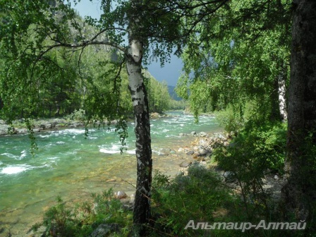 altai2013 31