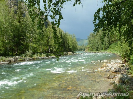 altai2013 38