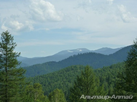 altai2013 41
