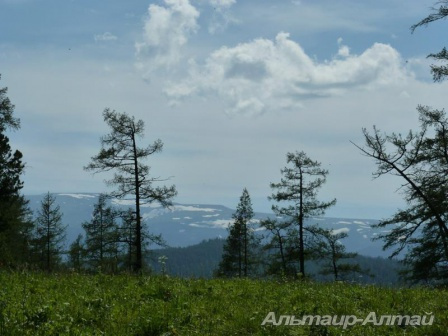 altai2013 2