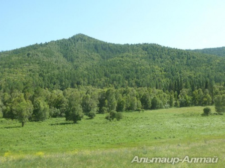 altai2013 4