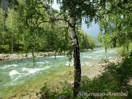 altai2013 13