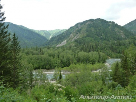 altai2013 15
