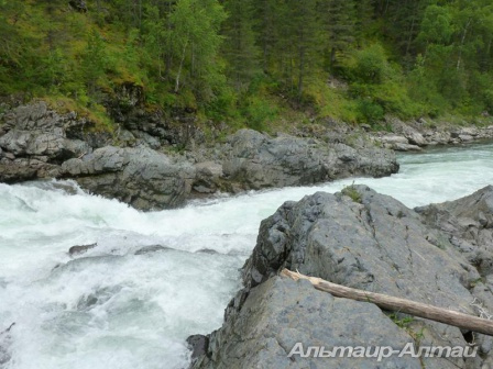 altai2013 33