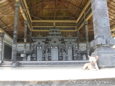bali 16